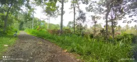 Dijual tanah kebun Purwodadi, Pasuruan