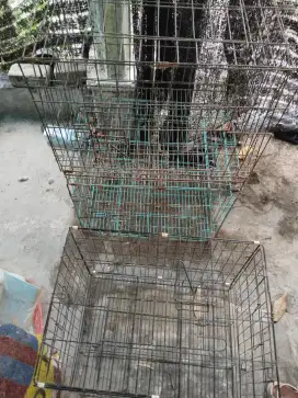 Kandang kucing ukuran 60