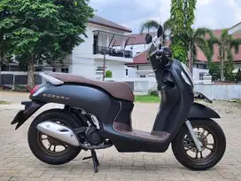 Honda Scoopy Prestige Tahun 2024