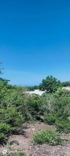 Tanah Ocean View di Kutuh Utara - Badung Bali