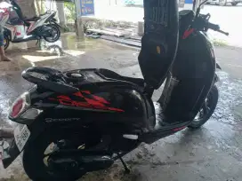 Honda Scoopy bagus