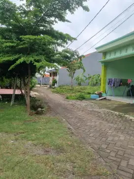 Dijual Cepat Tanah Kavlingan ukuran 6x15. NEGO TIPIS