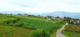 TANAH KEBUN PINGGIR JALAN DI CIMAUNG BANJARAN