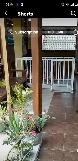 Paviliun kontrakan 1-2 kamar tidur dg balkon