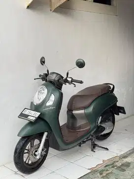 Honda scoopy prastage