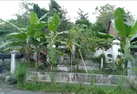 Di Jual Tanah murah Di Perumahan Taman Pinang Indah Sidoarjo Kota