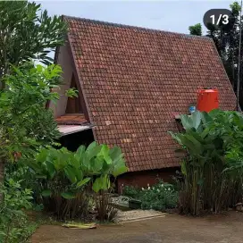 Rumah Wangun, Villa di Karang Tengah, Curug Kencana dan Bukit Panisan