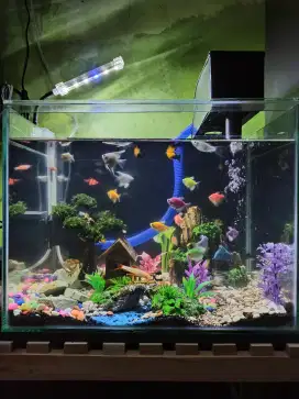 Lampu aquarium + aerator