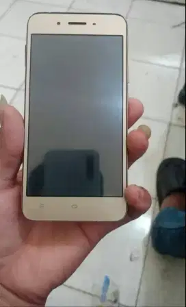 Vivo y53 normal