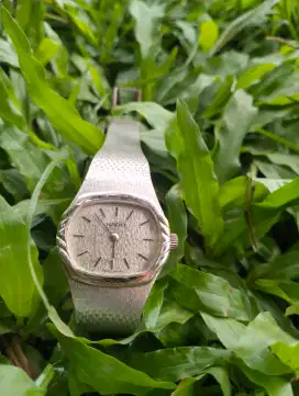 Rado wanita automatic