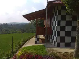 DIJUAL AGROWISATA KEBON GAHARU