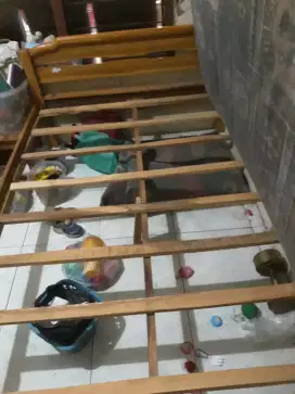 Ranjang / tempat tidur kayu jati muda