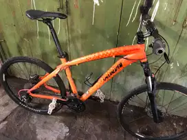 mtb specialized P one