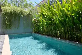 Villa 2 bedroom for rent monthly and yearly in nusa dua