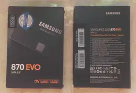 Hardisk SAMSUNG SSD 870 EVO 2.5 250Gb (baru/Segel)