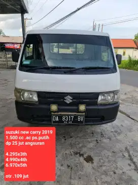 New Carry CX 4x2 Manual thn 2019, DP 25JT