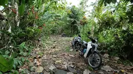 di jual tanah kebun subur murah mriah