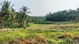 Dijual Tanah  cocok untuk Kandang Ayam Luas 1-5 Ha Seuat Serang Banten