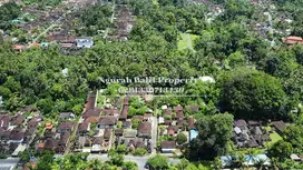 Disewakan Tanah Luas 30,70 Are View Kebun Kawasan Villa di Ubud