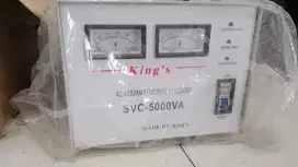 Stabilizer 5000 va