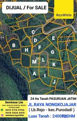 24 Ha Tanah Kebun Nol Jalan Raya Nongkojajar Purwodadi Pasuruan JATIM