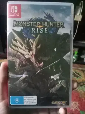 Cartridge monster hunter rise