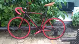 Sepeda Fixie frame Alloy