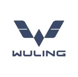 Lowongan Kerja Wuling Lenteng Agung