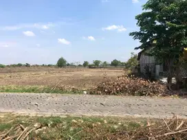 DIJUAL SEGERA TANAH SAWAH