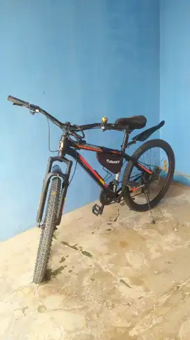 Sepeda Gunung MTB New Phoenix 172 MX