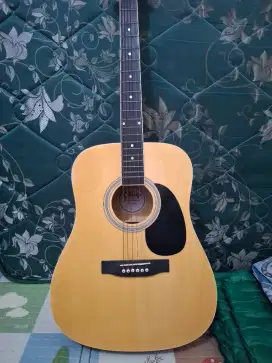 Gitar Clarity akustik