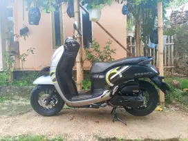 Scoopy bekas rasa baru