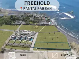 Dijual Tanah, Hanya 30 Menit Dari Pusat Ubud Bali