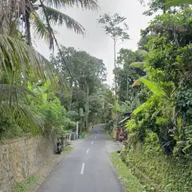 LAHAN BUC DG UNBLOCKED JUNGLE VIEW DI UBUD, BALI