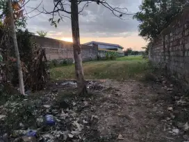 Dijual sawah tepi ring road barat lt 2706 ld 15 m harga 5 juta per m