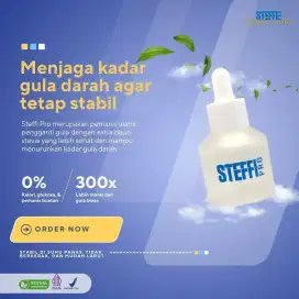 STEFFI PRO PEMANIS ALAMI