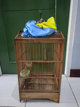 Sangkar burung no 2 plus kerodong