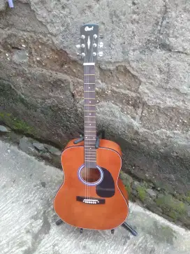 Gitar akustik cort