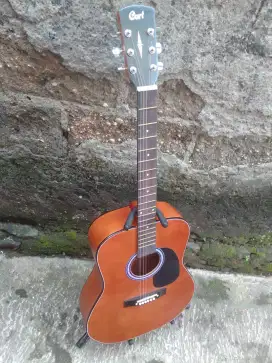 Gitar akustik cort