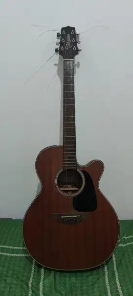 Gitar Akustik Elektrik Takamine G-series + Amply Cort AF30