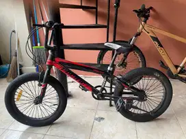 BMX pacific SPINIX CX 3.0