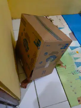 ART menginap jaktim
