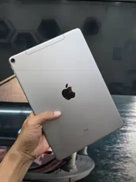 IPad pro 2017 gen 2 512 gb wifi cell