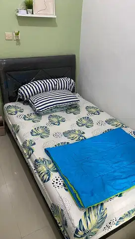 Kasur Springbed uk 120