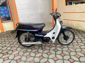 Astrea grand bulus