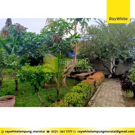 Dijual Rumah Jl. Alamsyah Ratu Prawiranegara Way Halim (Ahol1407)