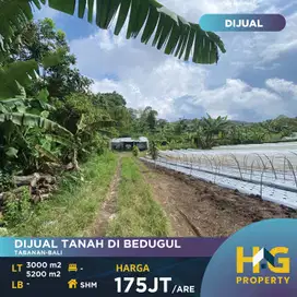 NEW LISTING    DIJUAL TANAH DI BEDUGUL-TABANAN