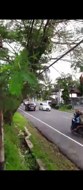 dijual tanah di jln raya Puncak Cisarua Bogor