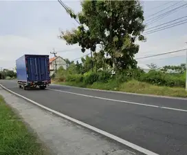 Lahan plot gudang termurah lokasi mantup arah lamongan