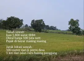 Rp. 55.500/meter Tanah sawah di jual murah meriah